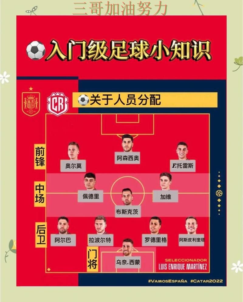 世界杯买球怎么选？避坑指南带你了解（世界杯直播）