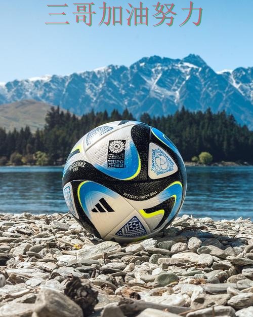 FIFA World Cup 2026期间热门世界杯投注平台推荐精选与直播入口分析